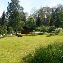 Ferienhaus Åsnen Grundstück