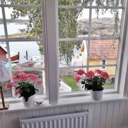 Ferienhaus Björholmen Skärgård Blick aus dem Fenster