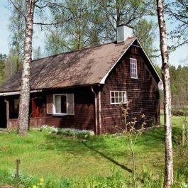 Uriges Ferienhaus mit holzgeheizter Sauna in Småland