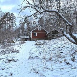 Ferienhaus Högalund, Grundstück im Schnee