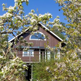 Sehr ansprechendes Ferienhaus mit Sauna in Småland nahe herrlicher Schärenküste, der authentischsten Landschaftsform in Schweden