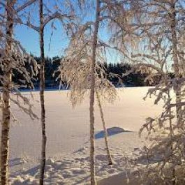 Ferienhaus Norrala Blick auf den See im Winter