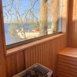 Ferienhaus Ringsjön – in der Sauna