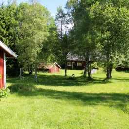 Ferienhaus Sävsjö Wiese