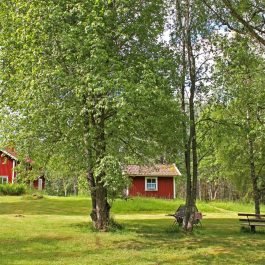 Ferienhaus Sävsjö Grundstück