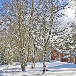 Ferienhaus Sävsjö Winterlandschaft