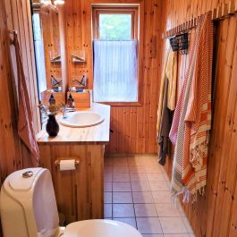 Ferienhaus Vislanda – Badezimmer